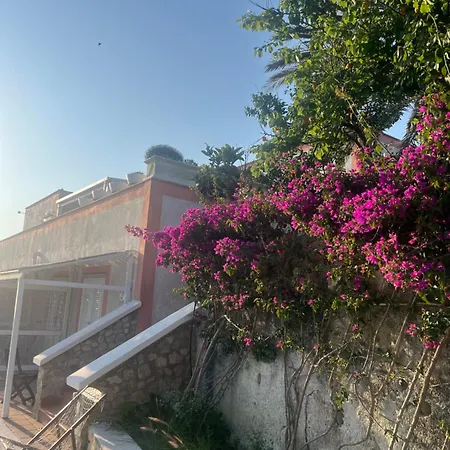 Bed & Breakfast Casa Belvedere Del Core