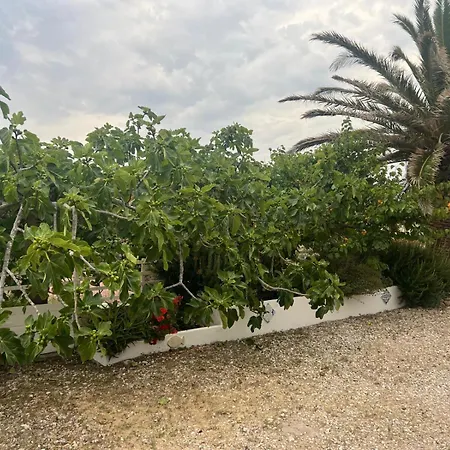 Casa Belvedere Del Core 3* Ponza